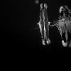 pb001.jpg