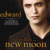 posters_luanova_007.jpg