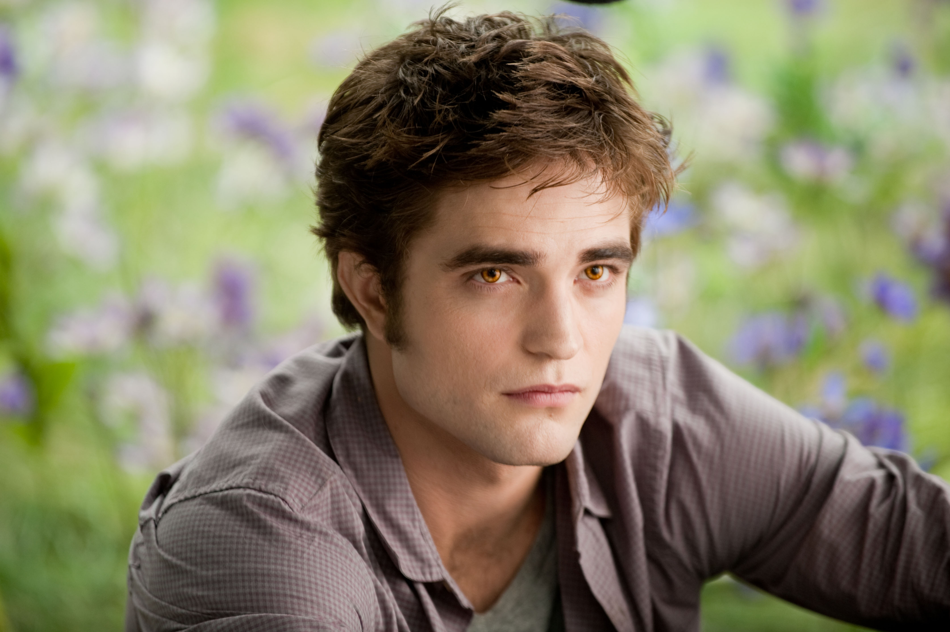 stills_eclipse_039.jpg
