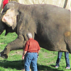 bastidores_wfe_001.JPG