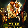 livros_wfe_002.jpg