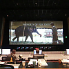 wfe_281.jpg