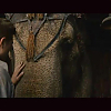 screencaps_wfe_013.jpg