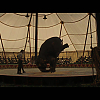 wfe_clipe_046.jpg