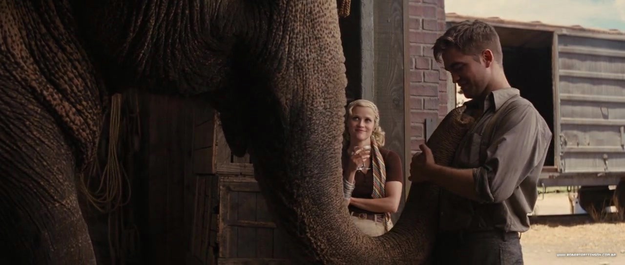 screencap_wfe_1079.jpg