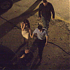 bastidores_amanhecer_100.jpg