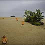 still_amanhecer_002.jpg